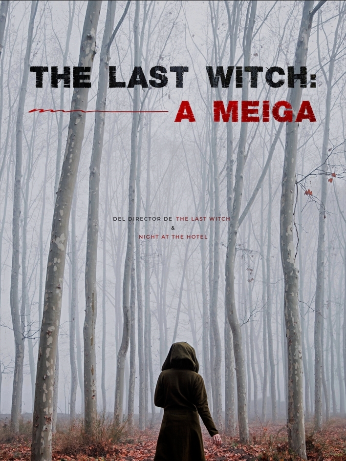 Poster de la película The Last Witch A Meiga